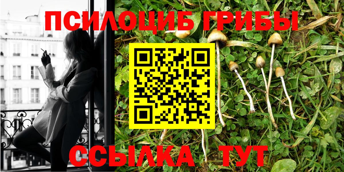 Псилоцибиновые грибы мицелий Уварово