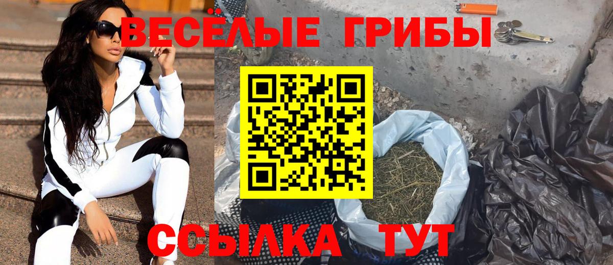 Галлюциногенные грибы Magic Shrooms  Галлюциногенные грибы Psilocybe  Уварово  Вход с VPN 